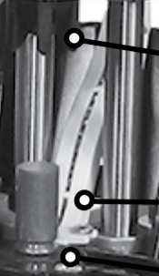 Lee ACP primer through